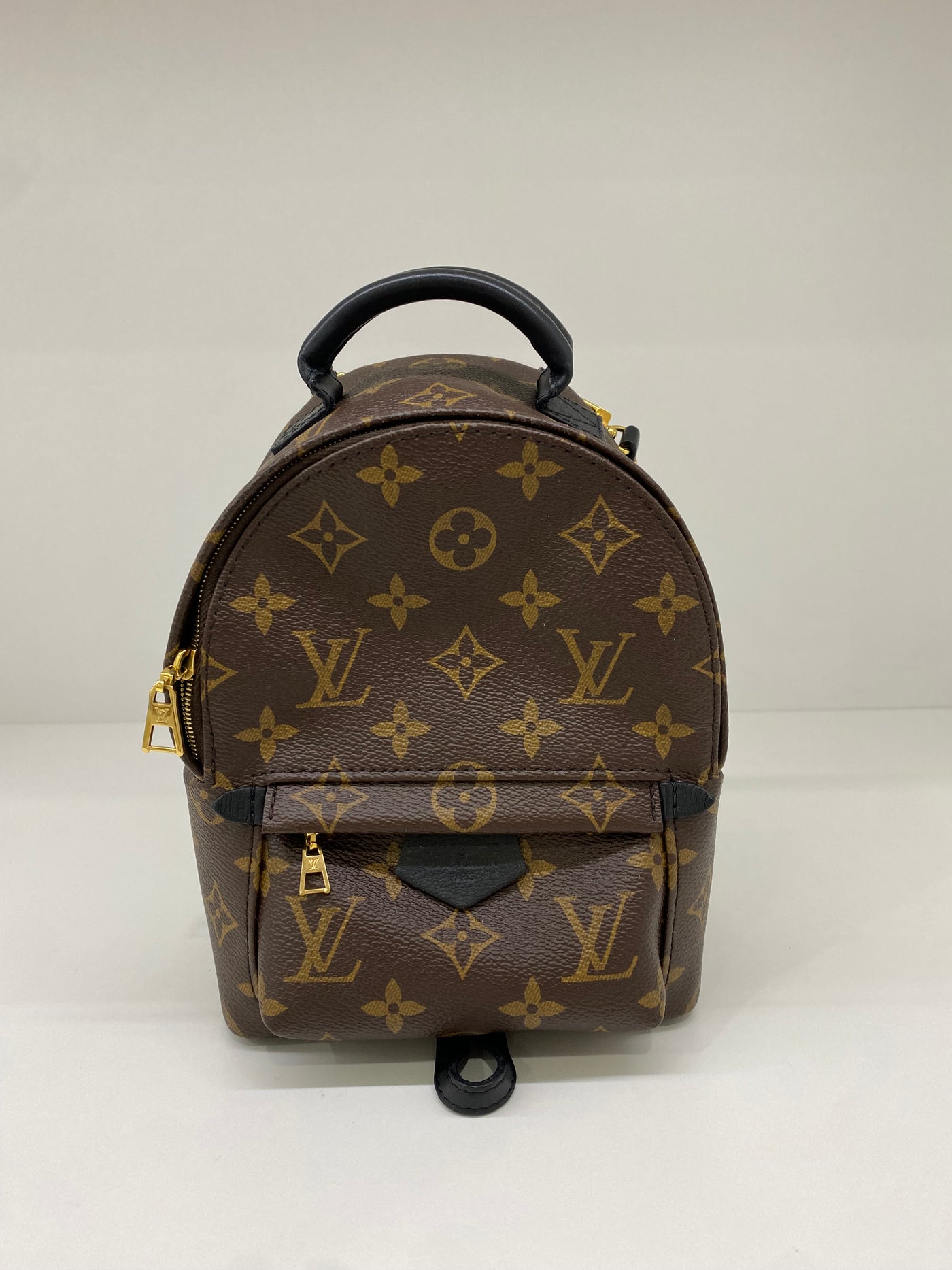 Louis Vuitton Palm Springs Backpack GHW