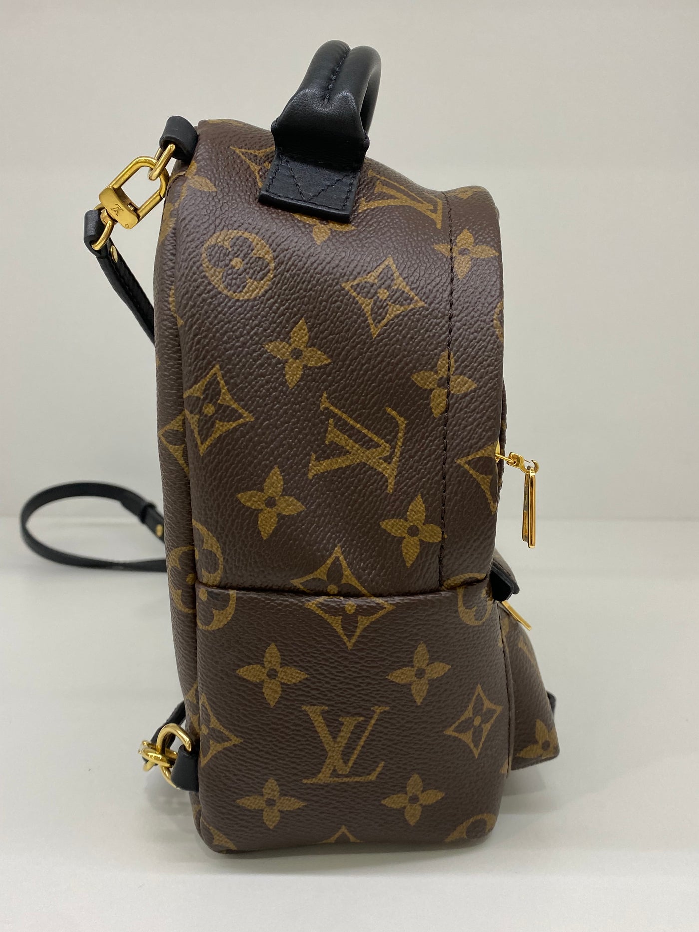 Louis Vuitton Palm Springs Backpack GHW