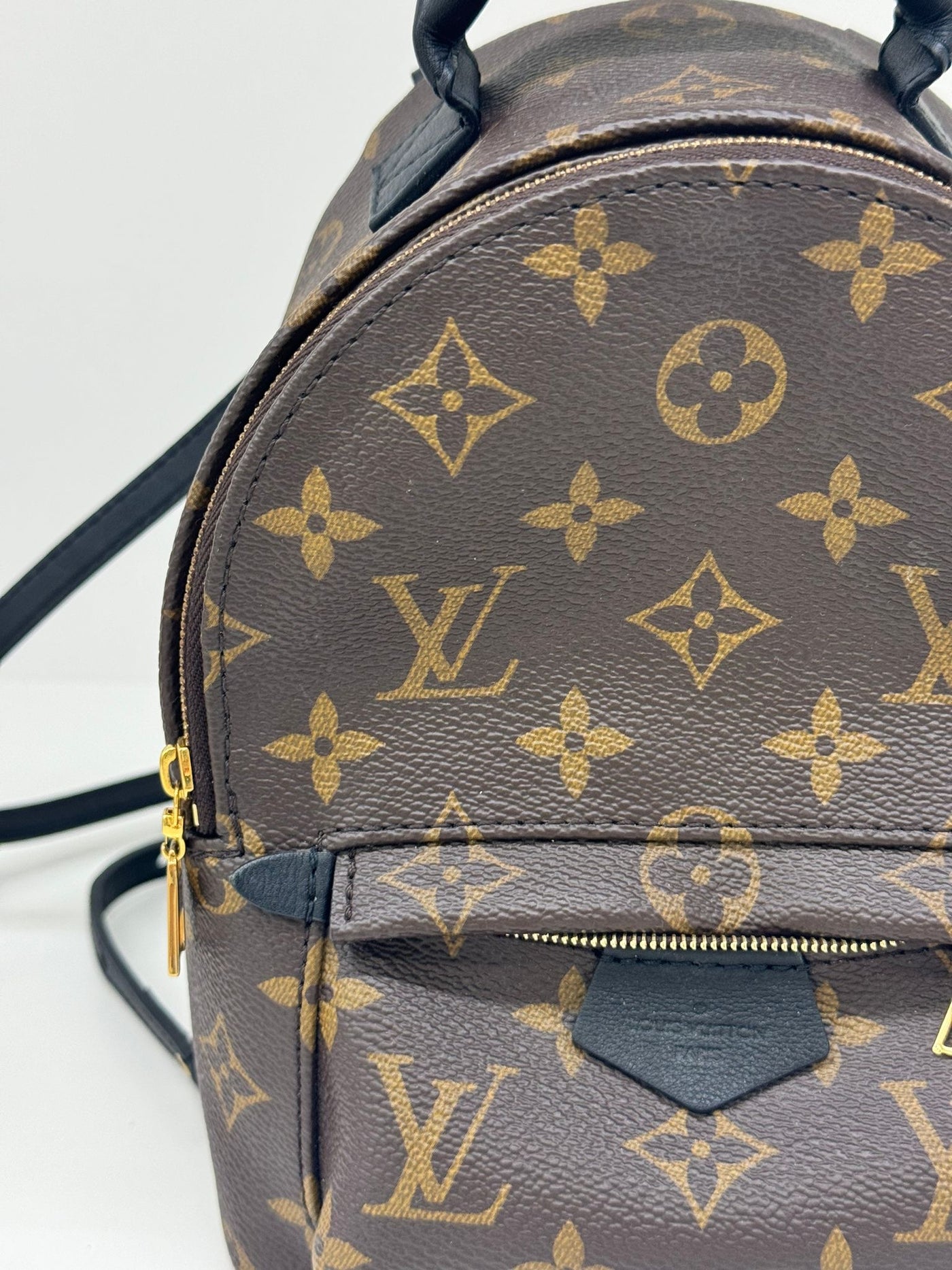 Louis Vuitton Palm Springs Backpack