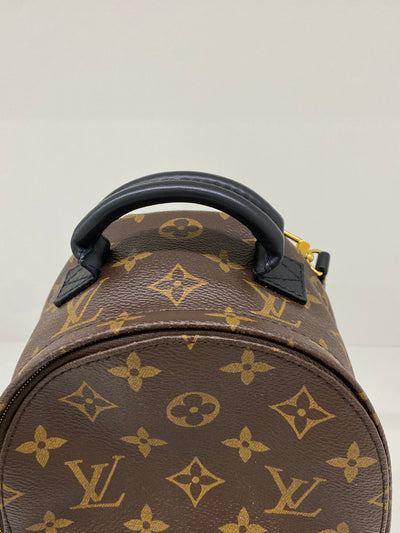 Louis Vuitton Palm Springs Backpack GHW