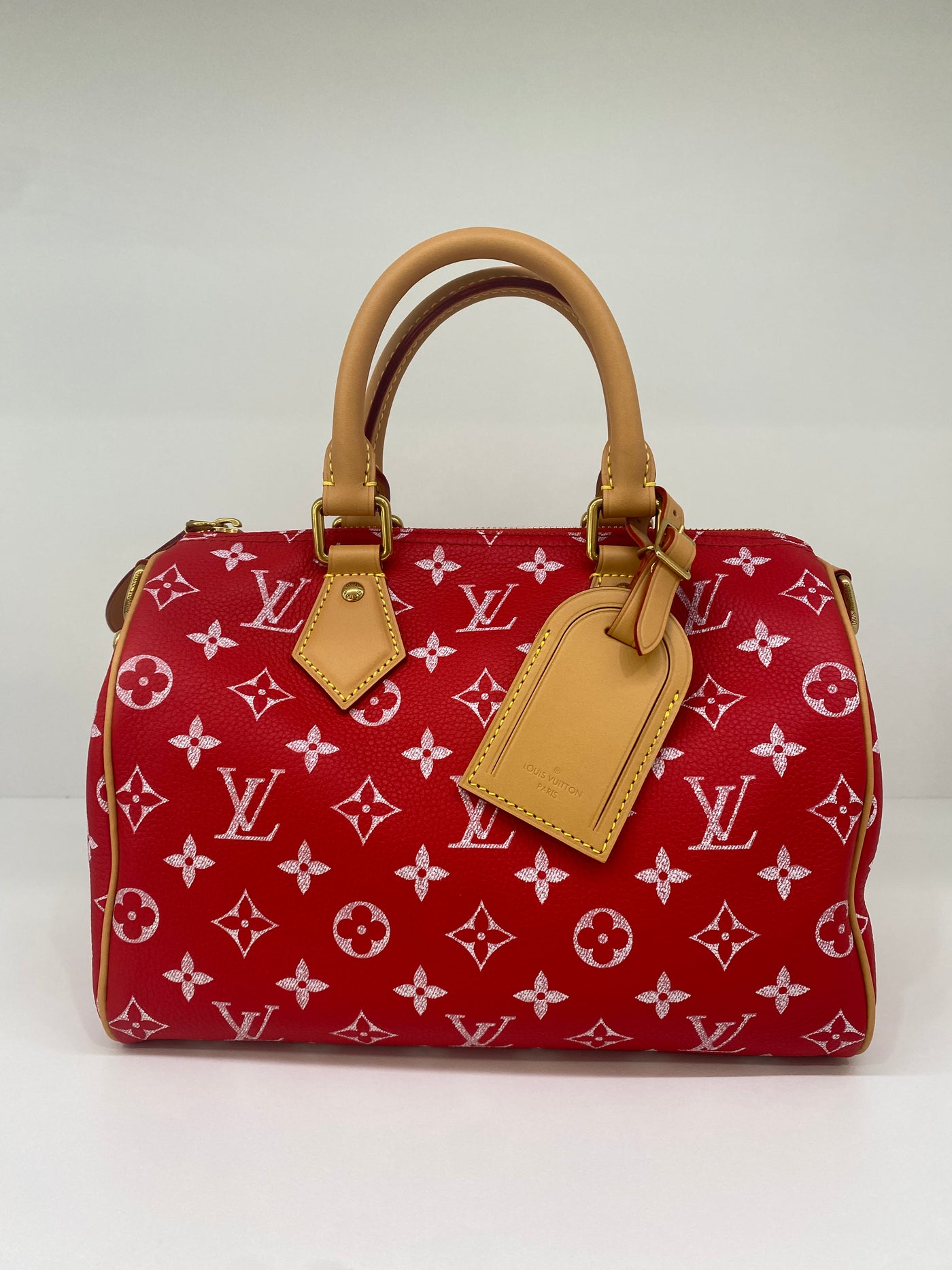 Louis Vuitton Speedy P9 Bandoulière 25