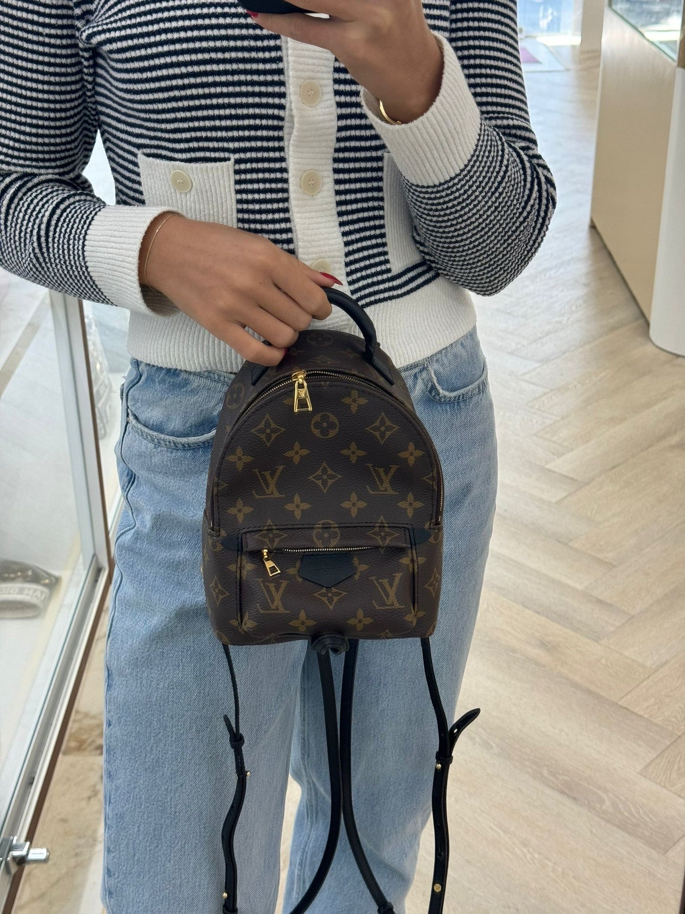 Louis Vuitton Palm Springs Backpack