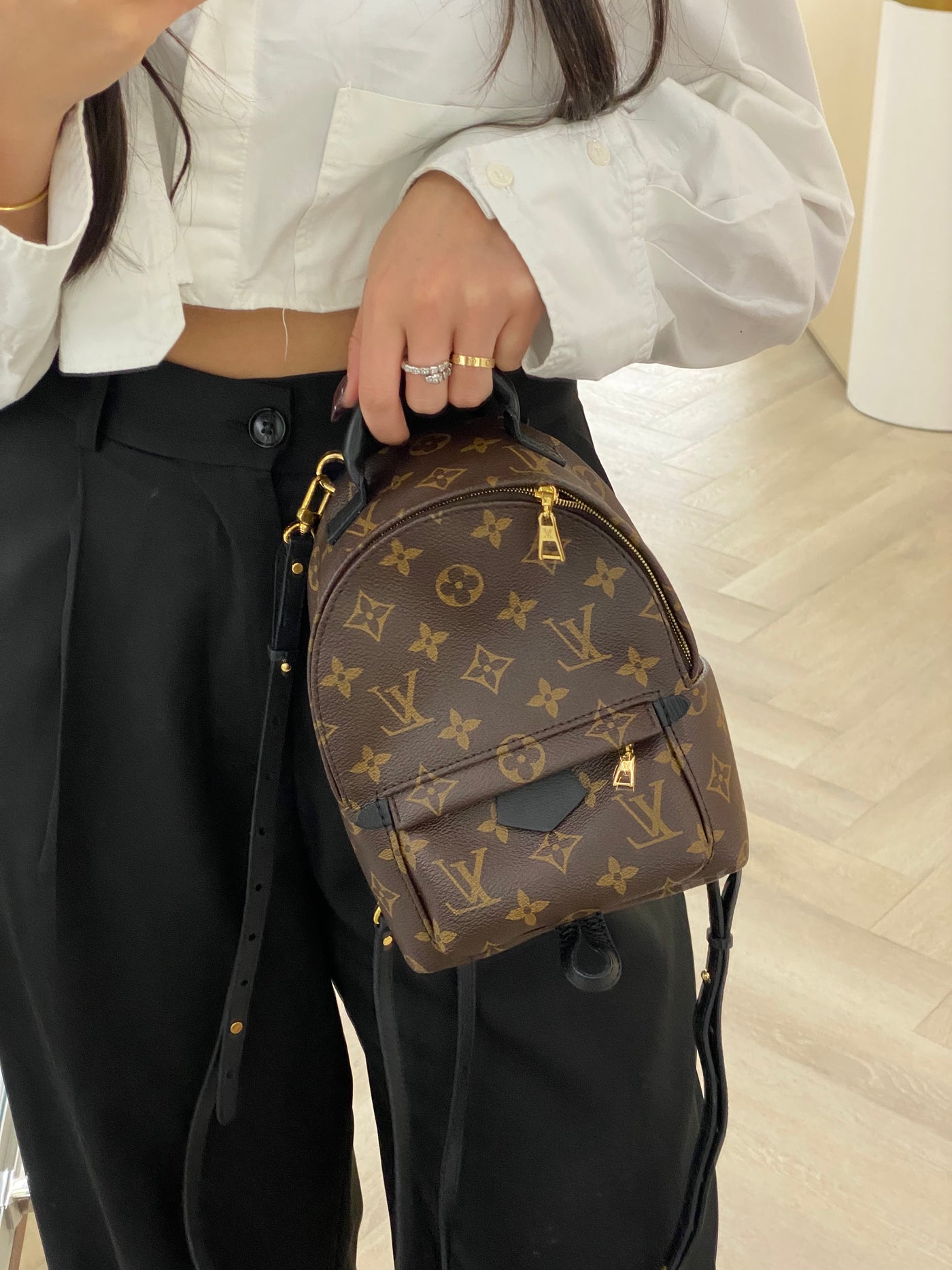 Louis Vuitton Palm Springs Backpack GHW