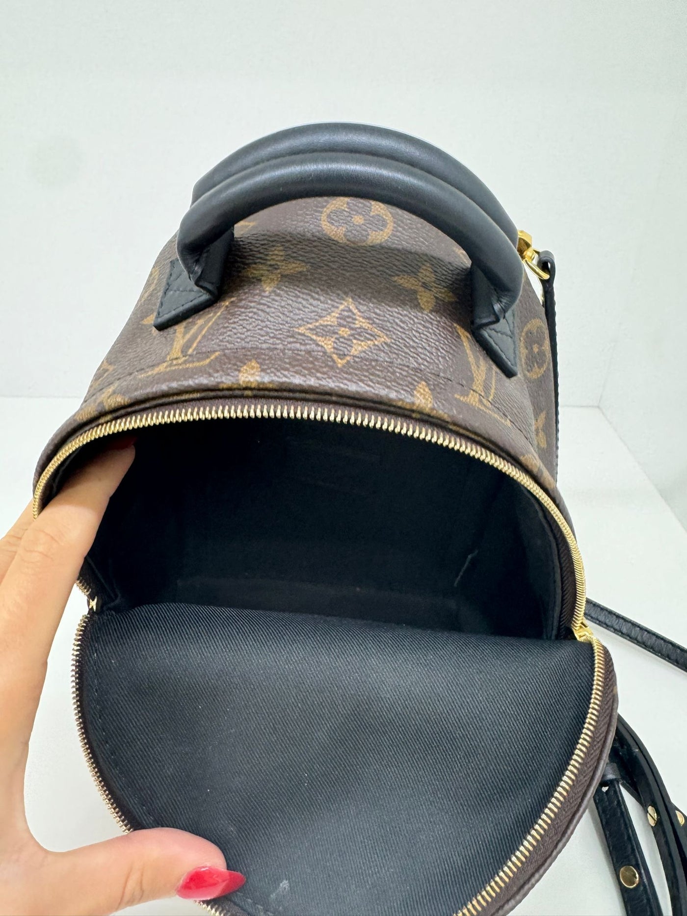 Louis Vuitton Palm Springs Backpack