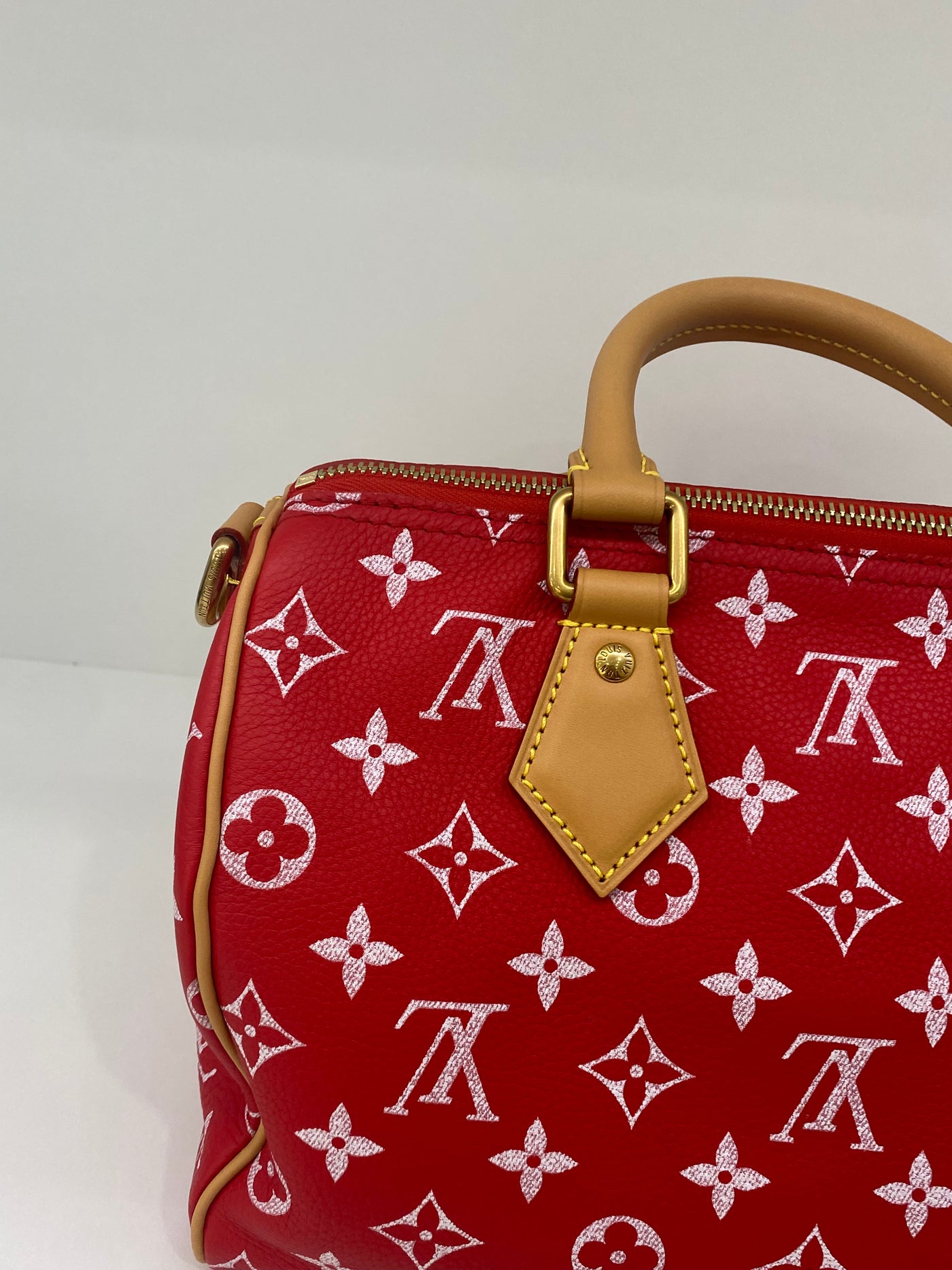 Louis Vuitton Speedy P9 Bandoulière 25