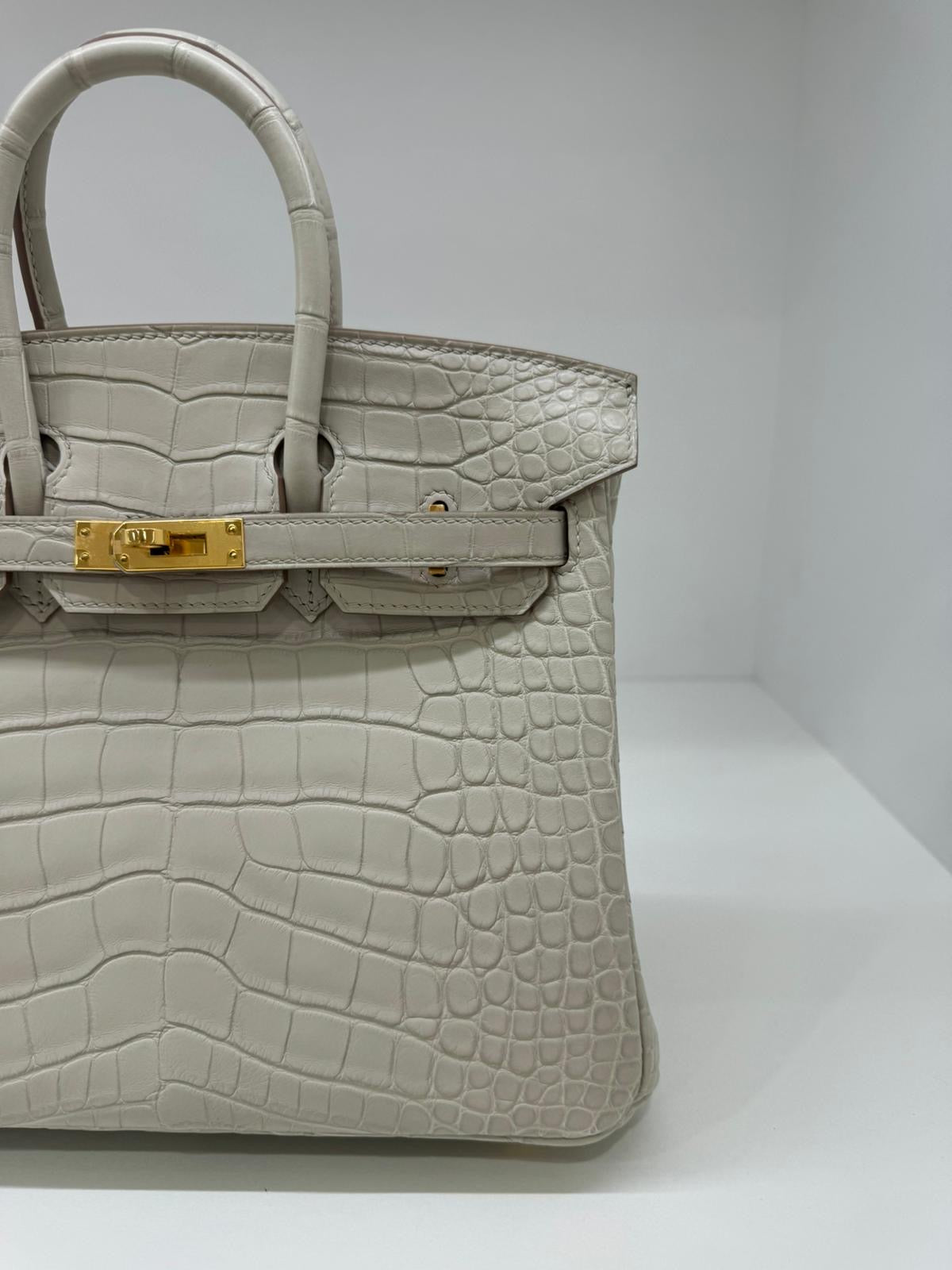 Hermes Birkin 25 Alligator Beton GHW