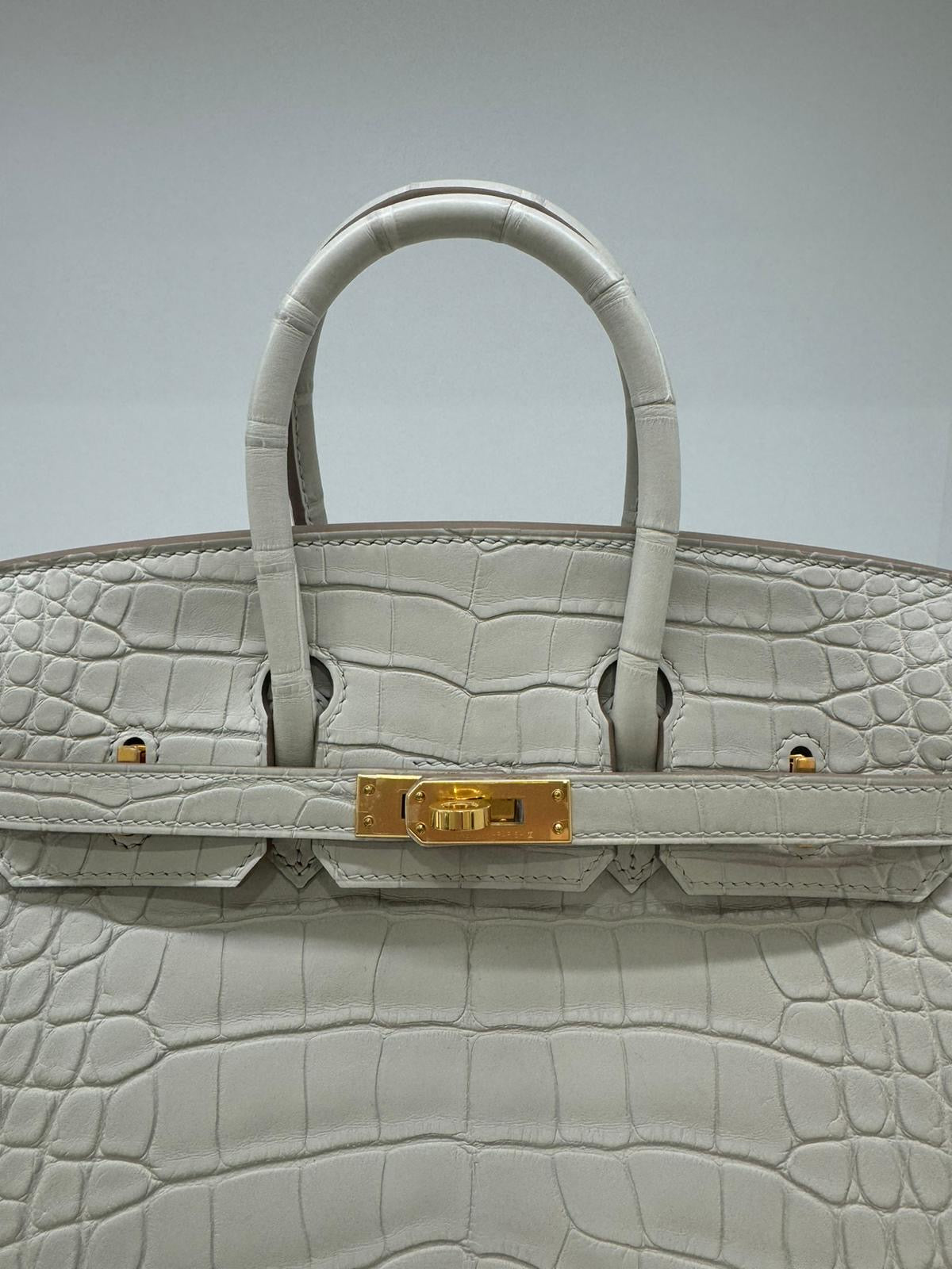 Hermes Birkin 25 Alligator Beton GHW