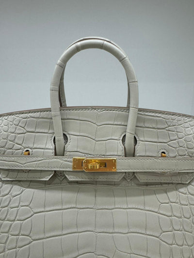 Hermes Birkin 25 Alligator Beton GHW