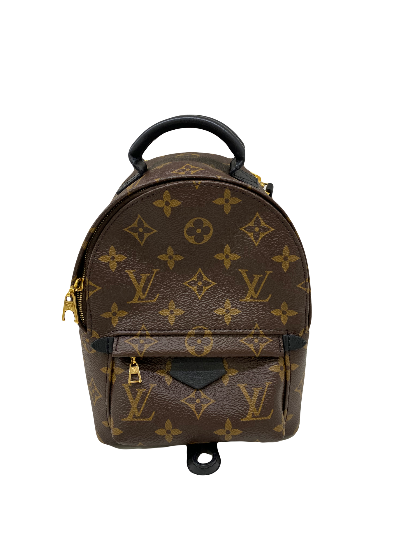 Louis Vuitton Palm Springs Backpack GHW