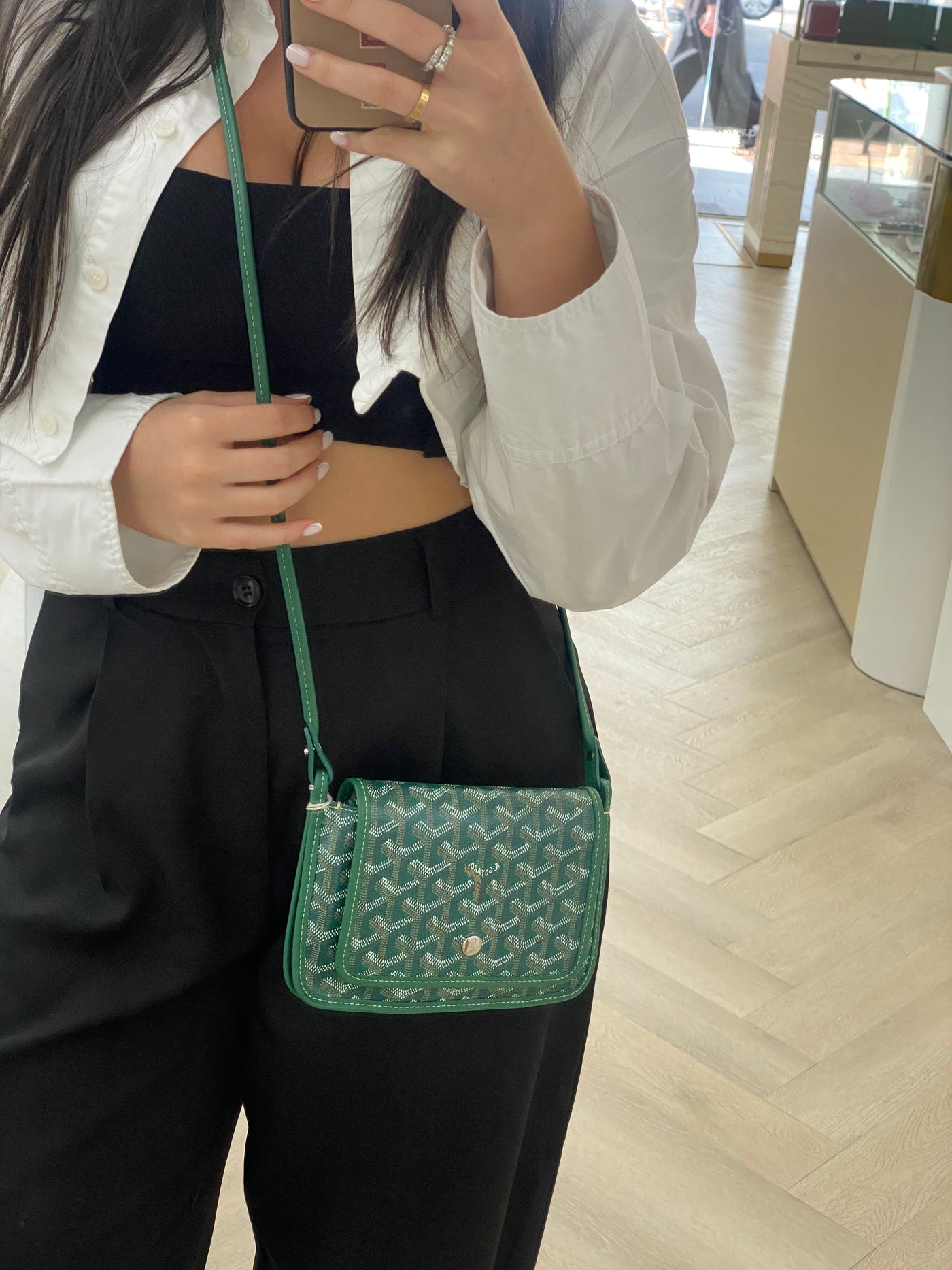 Goyard Plumet Bag Green