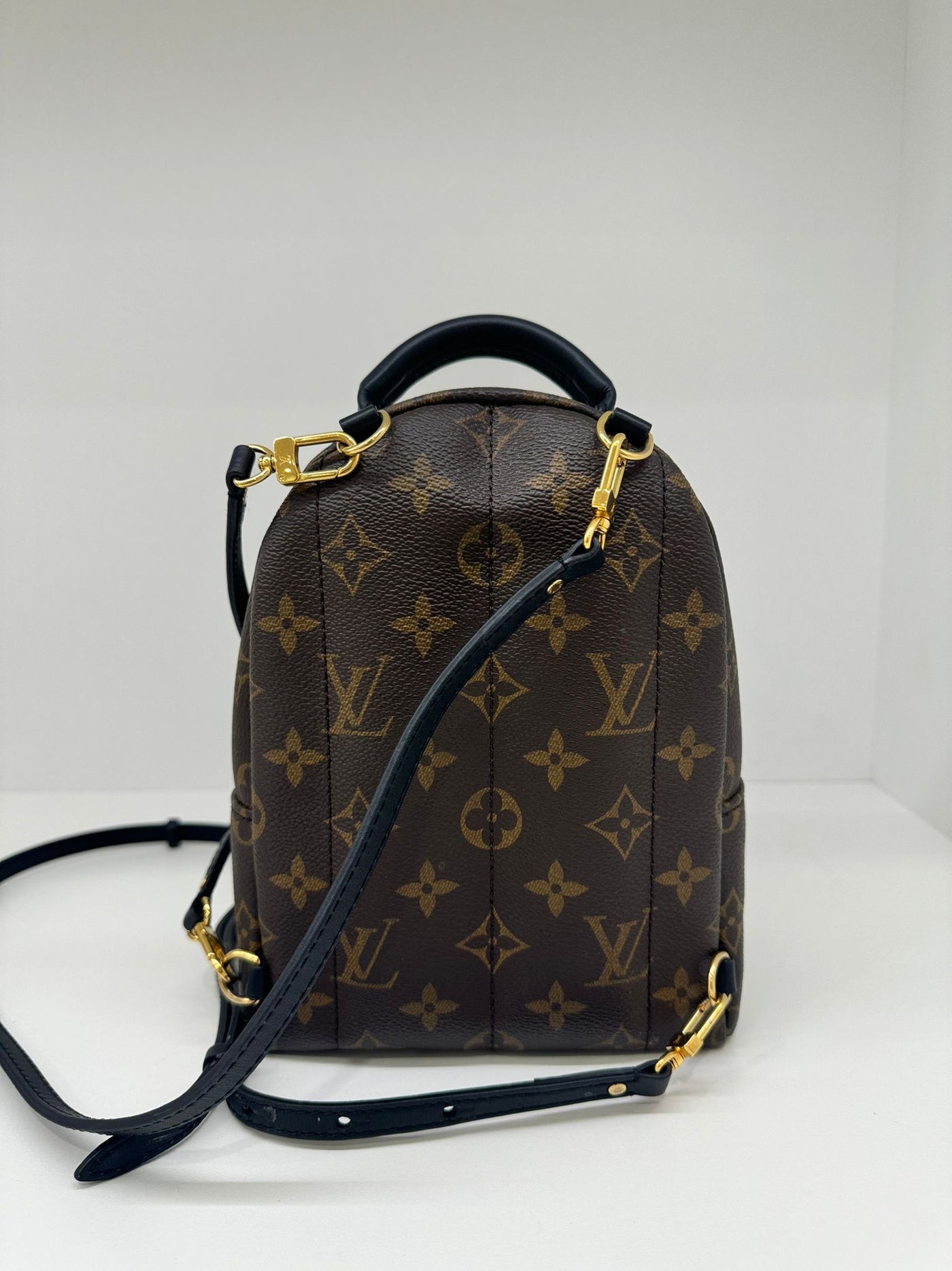 Louis Vuitton Palm Springs Backpack