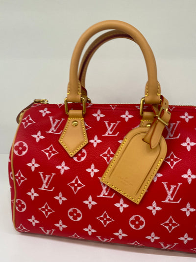 Louis Vuitton Speedy P9 Bandoulière 25