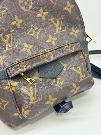 Louis Vuitton Palm Springs Backpack