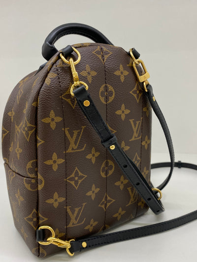 Louis Vuitton Palm Springs Backpack GHW