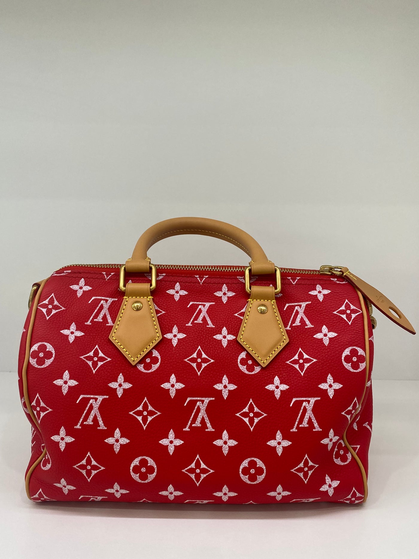 Louis Vuitton Speedy P9 Bandoulière 25