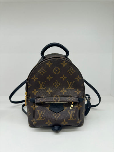 Louis Vuitton Palm Springs Backpack