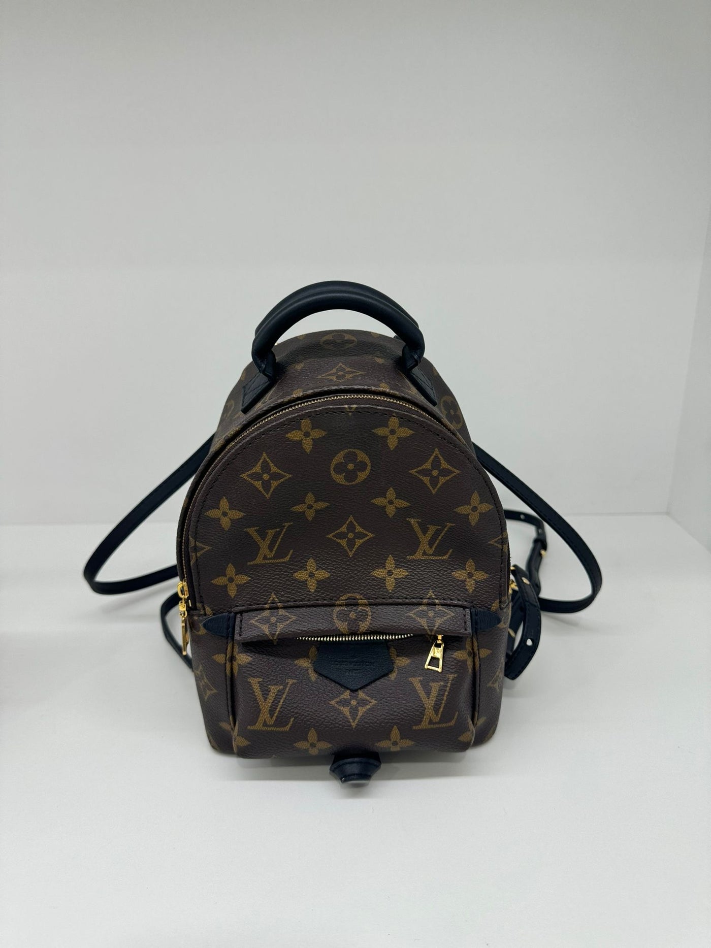 Louis Vuitton Palm Springs Backpack