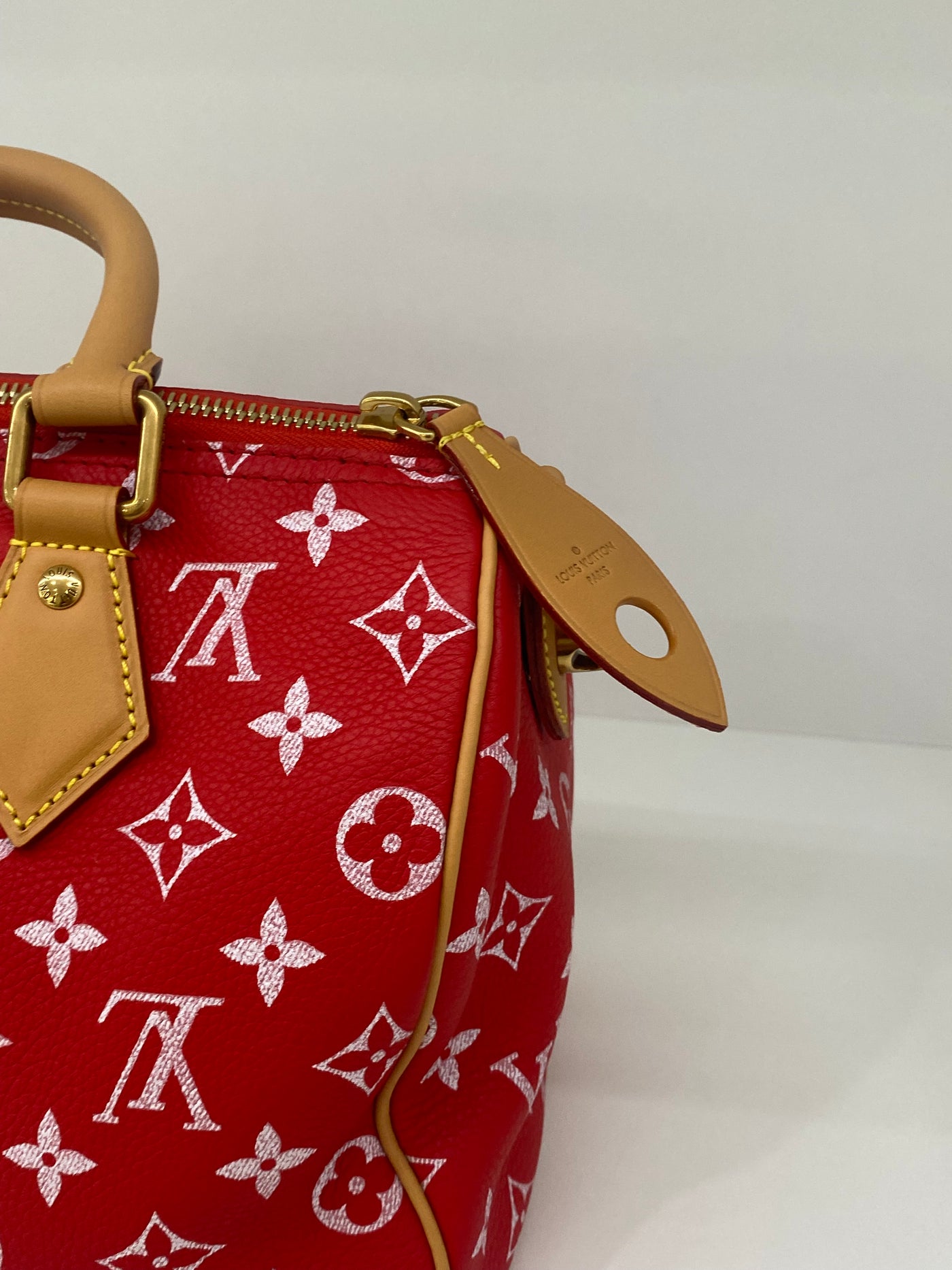 Louis Vuitton Speedy P9 Bandoulière 25