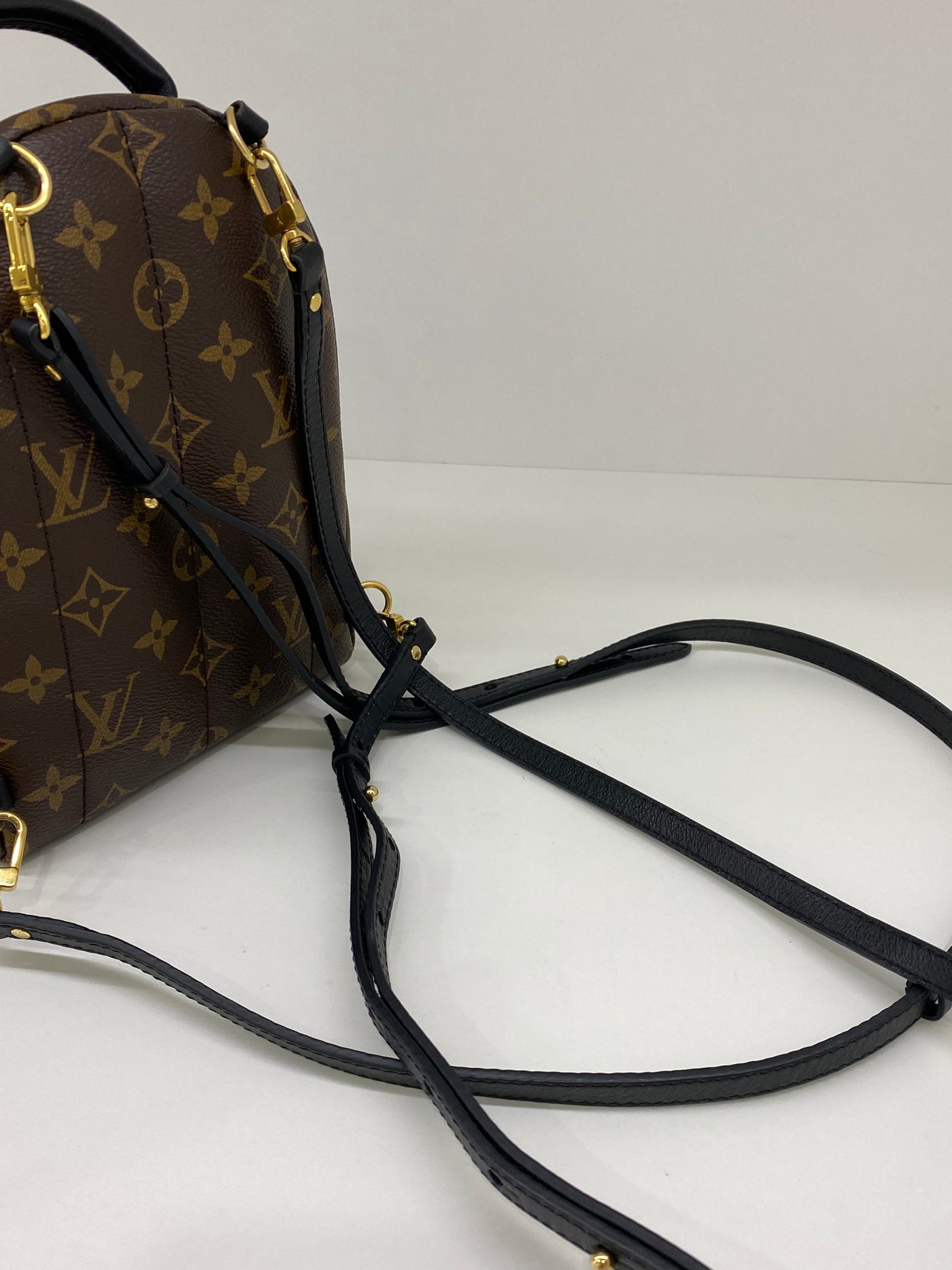 Louis Vuitton Palm Springs Backpack GHW