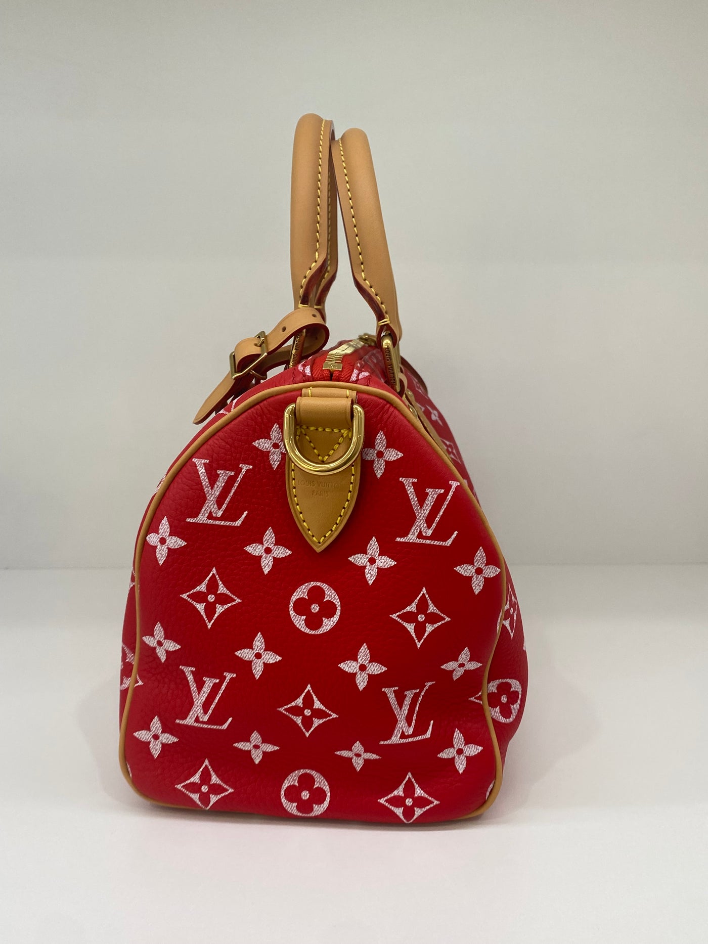 Louis Vuitton Speedy P9 Bandoulière 25