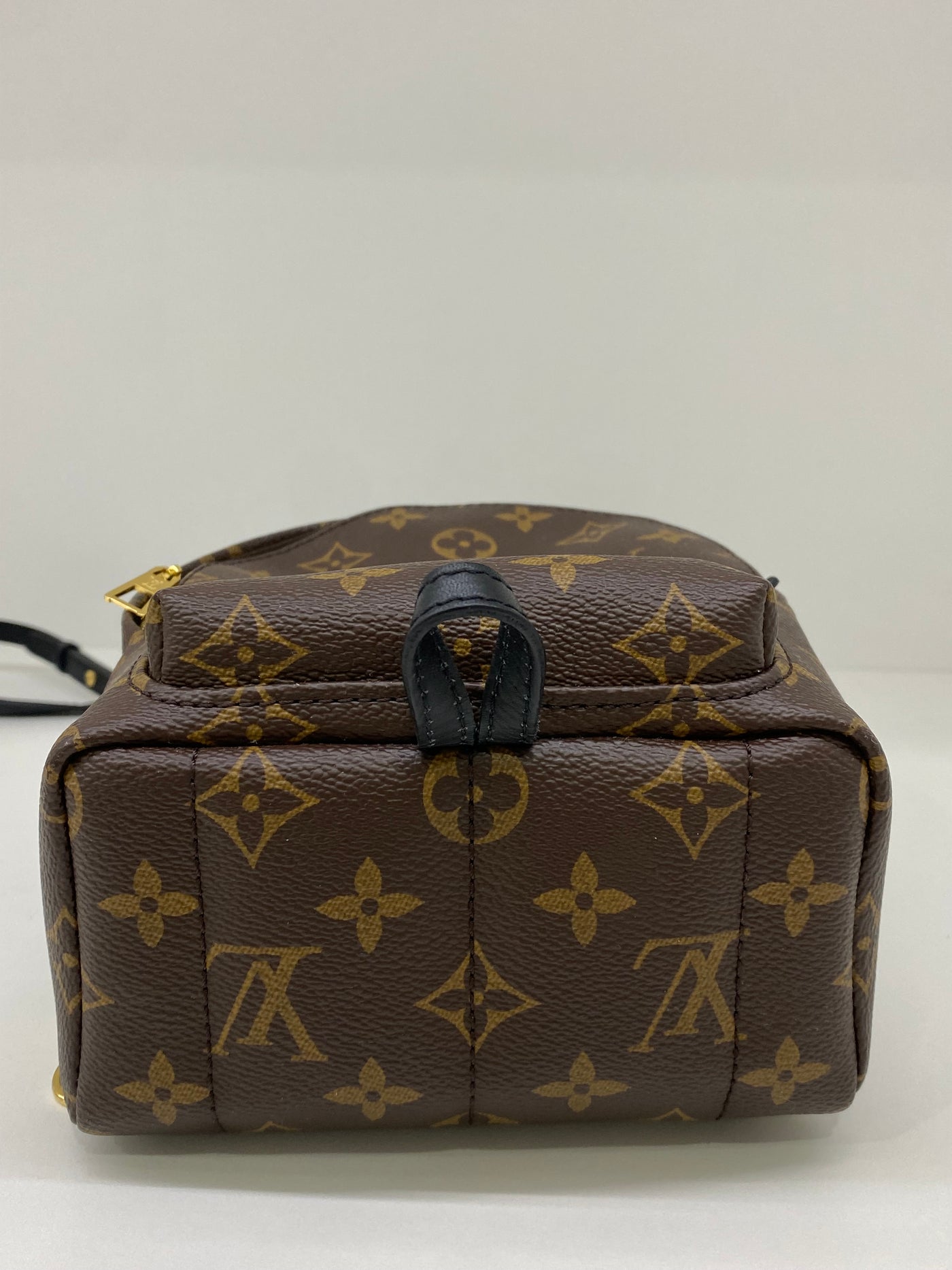 Louis Vuitton Palm Springs Backpack GHW