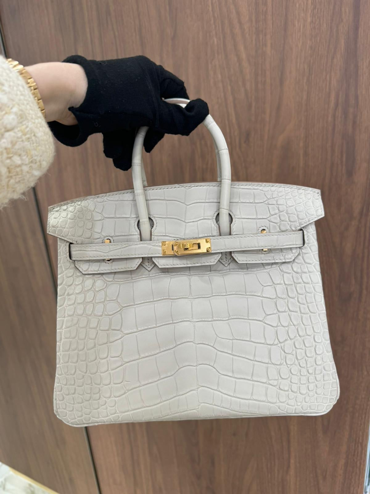 Hermes Birkin 25 Alligator Beton GHW