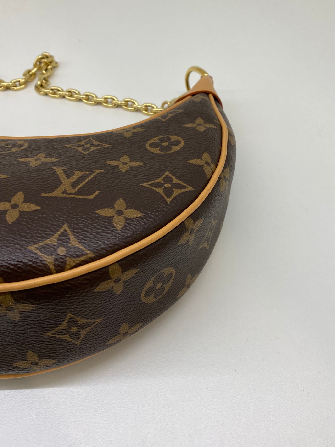 Louis Vuitton Loop Monogram