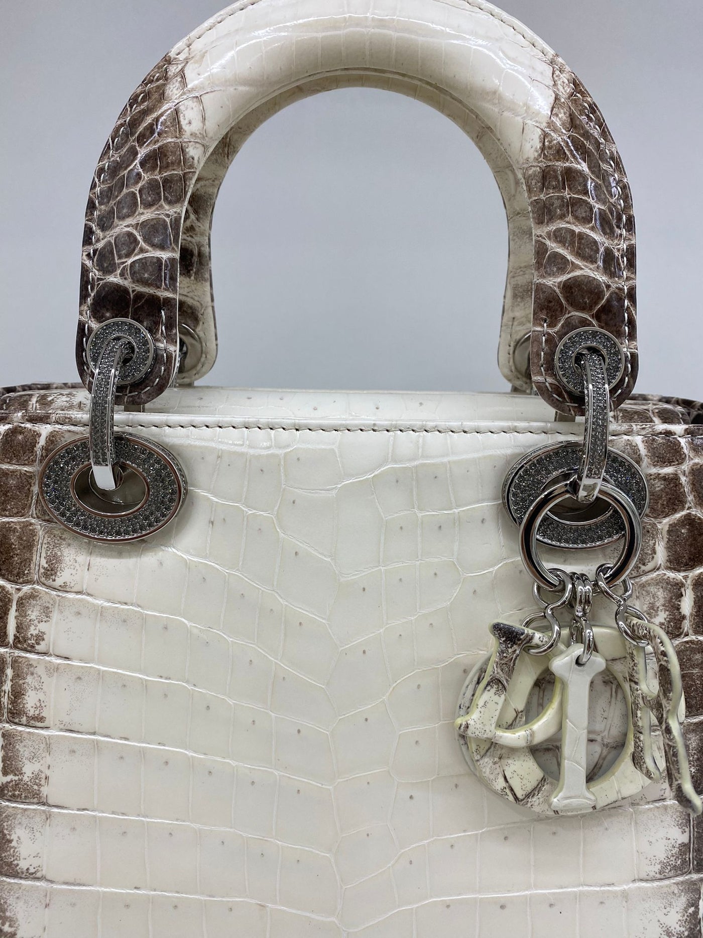 Christian Dior Himalayan Crocodile Lady Dior Mini Handbag